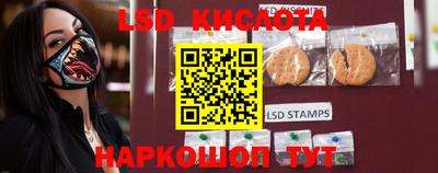 гидропоника Ирбит