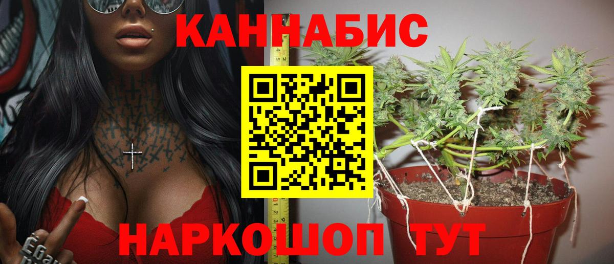 Конопля марихуана  Конопля OG Kush  Вход с VPN  Гурьевск  Марихуана тримм 